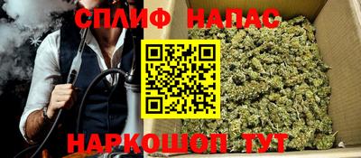 гидра Ижевск